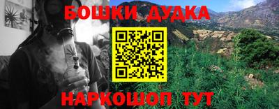 крисы Волгодонск