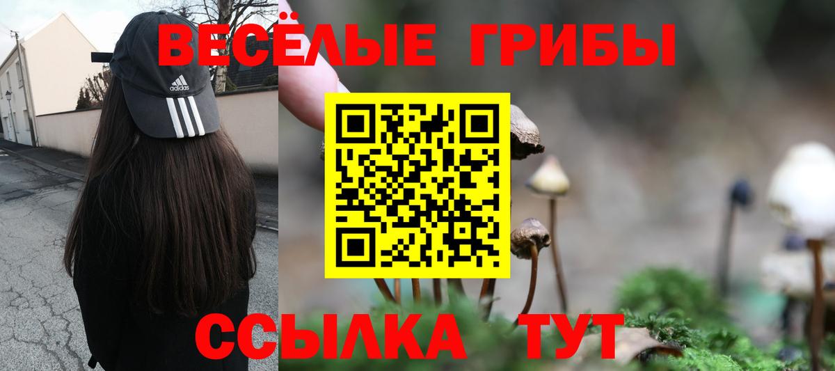 Псилоцибиновые грибы мухоморы  Вход с VPN  Радужный  Галлюциногенные грибы GOLDEN TEACHER 